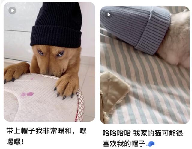 淘寶領(lǐng)券怎么賺錢（淘寶分享購物券的群怎么賺錢）