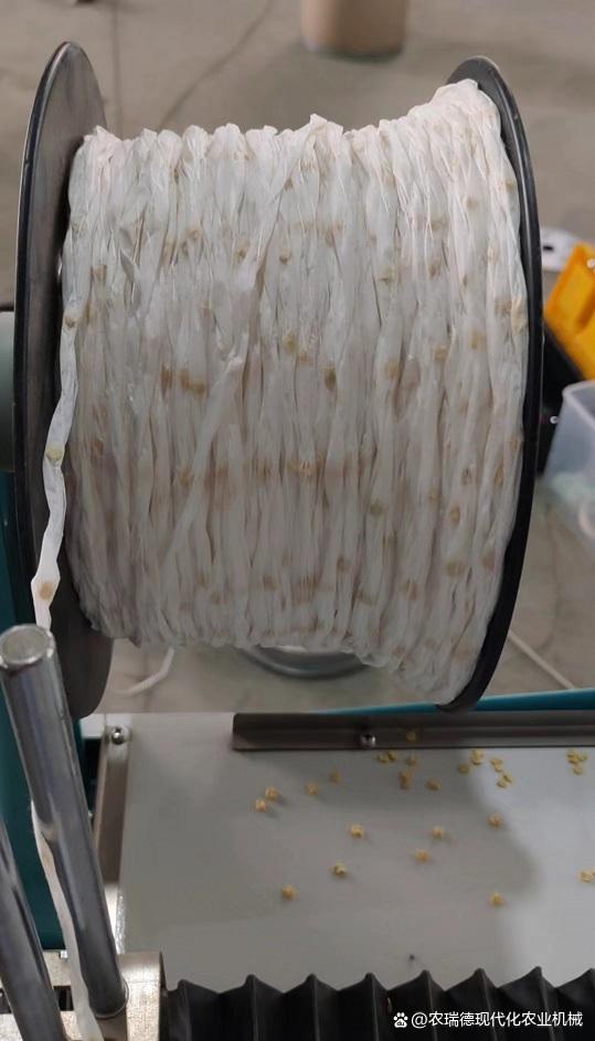 青椒視頻直播下載，青椒視頻直播下載安裝？