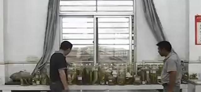 閑魚魚塘在哪里找（2021閑魚魚塘在哪里找）