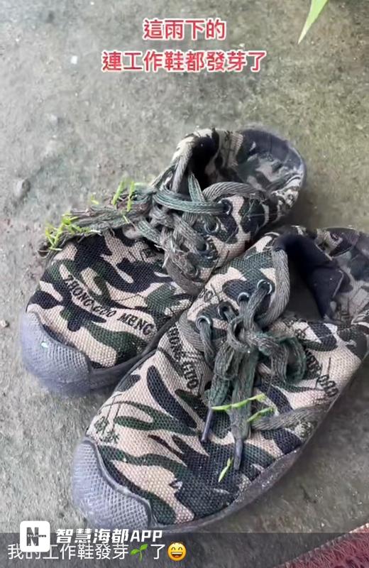 微信直播帶貨怎么操作，微信怎么直播帶貨_？