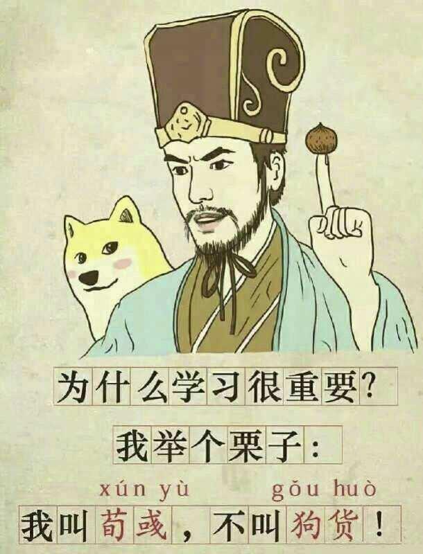 電影項目介紹怎么寫（志愿者項目介紹怎么寫）