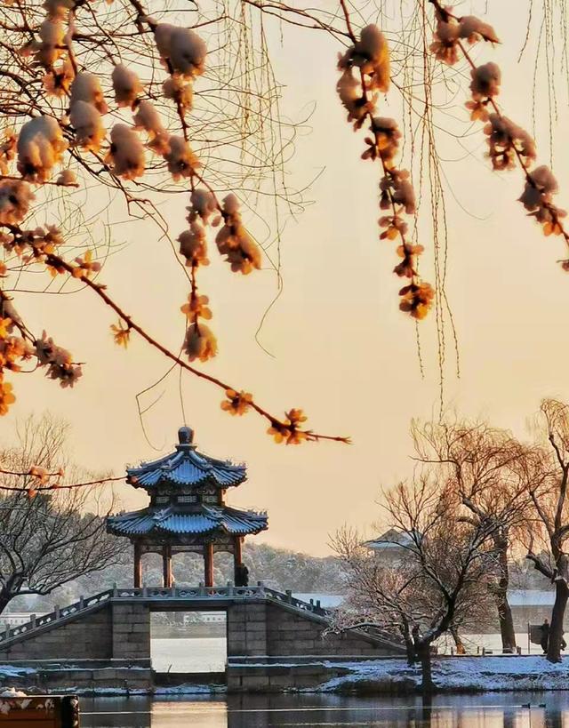 故宮高清圖片（游覽故宮平面圖）