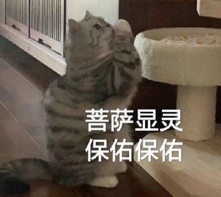 請保姆哪個平臺比較好一點（請保姆哪個平臺比較好找）