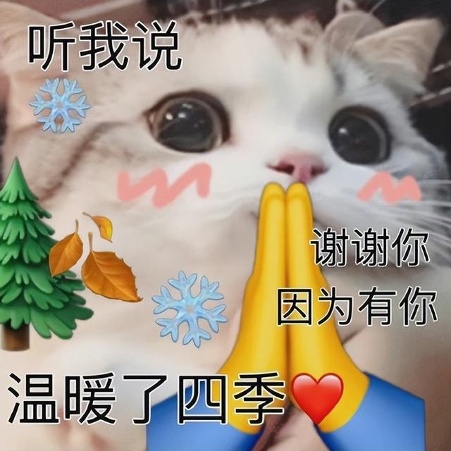 微信視頻號(hào)點(diǎn)贊會(huì)被所有朋友看到嗎怎么設(shè)置（微信視頻號(hào)點(diǎn)贊會(huì)被所有朋友看到嗎怎么取消）