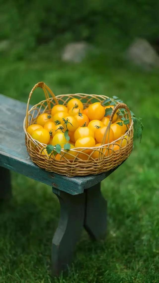 身無分文怎么創(chuàng)業(yè)白手怎么起家，身無分文怎么做生意？