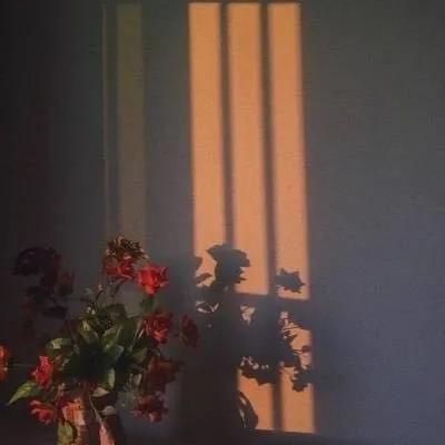 停用朋友圈怎么設(shè)置，怎么恢復(fù)刪除的朋友圈？
