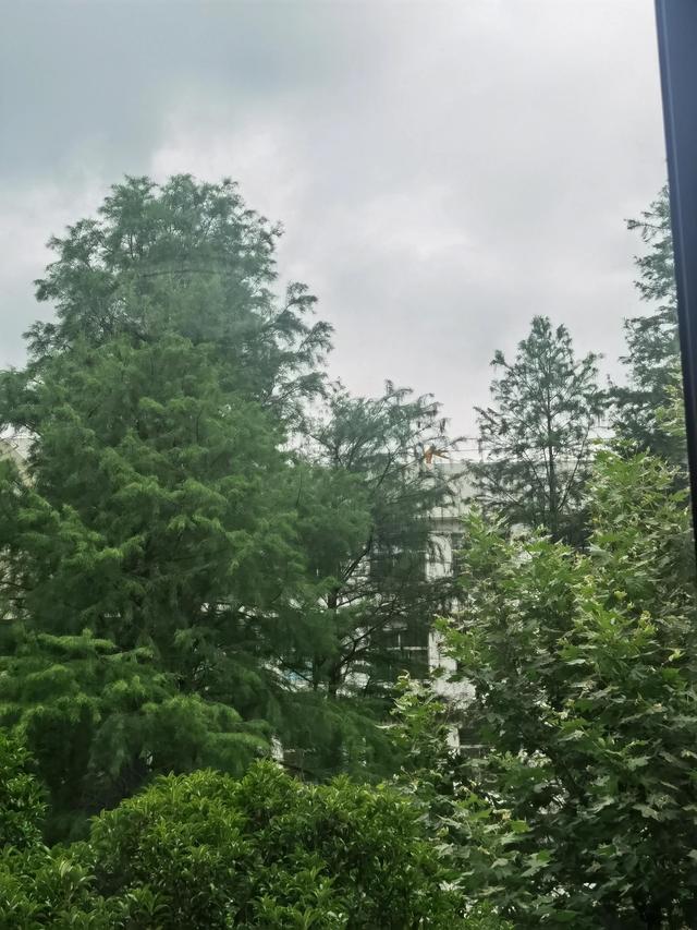 今日頭條多少金幣是一元（今日頭條多少金幣）