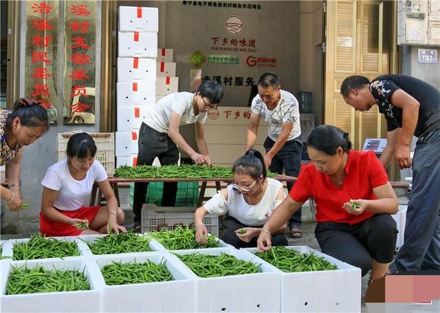 如何在家里賺錢（怎樣在家快速賺錢小學(xué)生）
