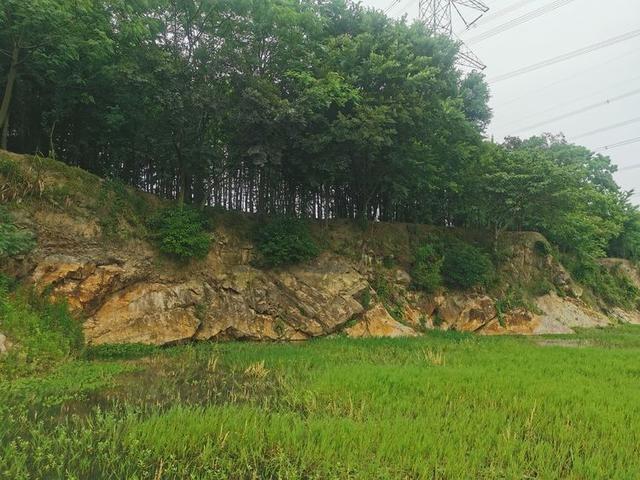 胥怎么讀音讀出來（胥這個字怎么讀）