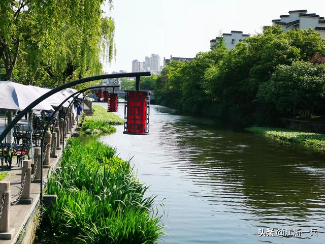 澳龍多少錢一斤市場價(現(xiàn)在澳龍多少錢一斤)