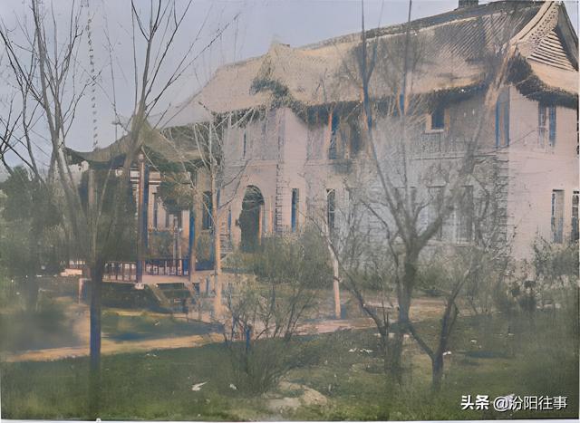 楊銘銘（楊茗茗老公簡歷）