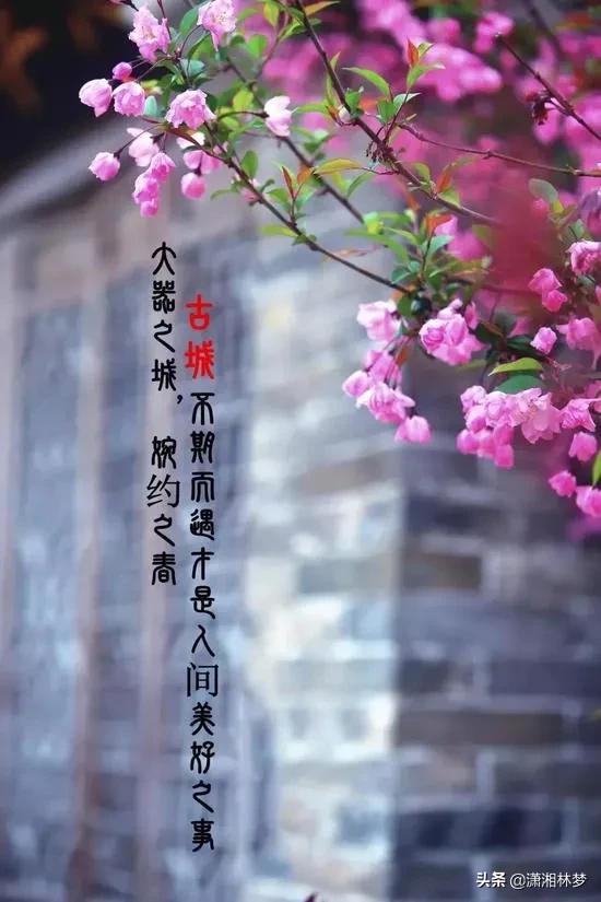 怎樣熱門漲粉絲（快手如何快速漲粉上熱門）