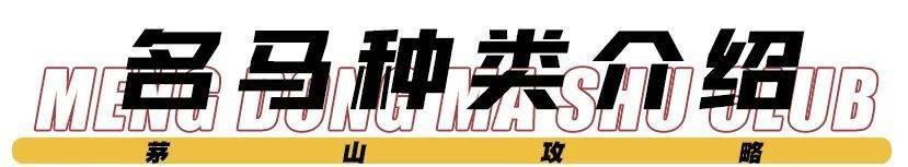 關于騎馬的朋友圈文字，朋友圈一匹馬配文字？