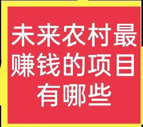 未來(lái)農(nóng)村賺錢(qián)的行業(yè)排行榜（未來(lái)農(nóng)村最賺錢(qián)的行業(yè)）