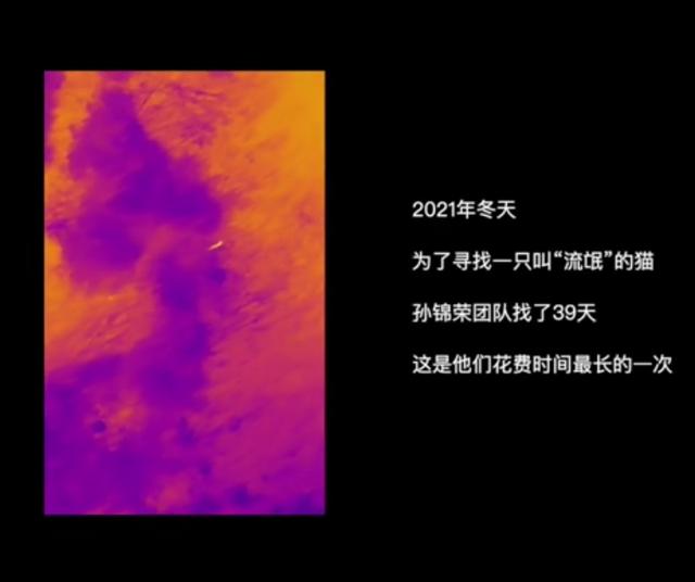 懸賞貓賺錢是真的嗎安全嗎，懸賞貓賺錢是真的嗎安全嗎？