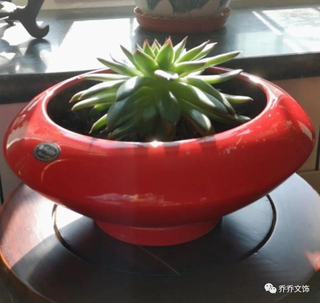種花發(fā)朋友圈短句，花的圖片發(fā)朋友圈說說？