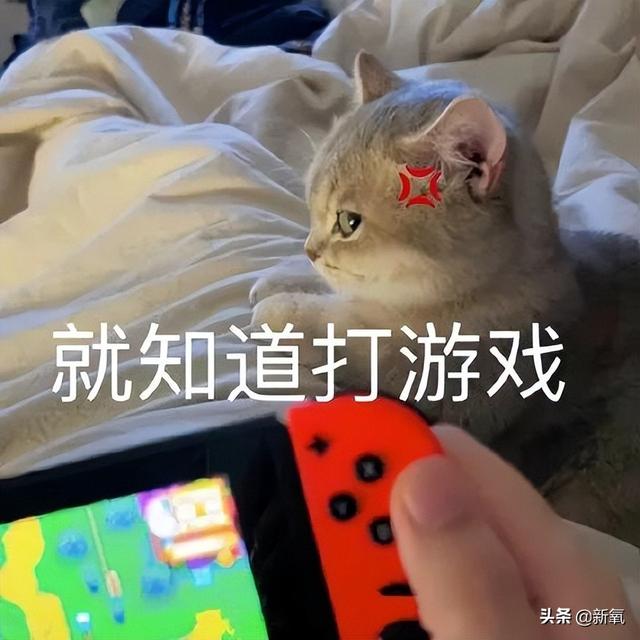 網(wǎng)紅星探直播選秀，帥哥美女紛紛落榜，年度能消除顏值焦慮的素材