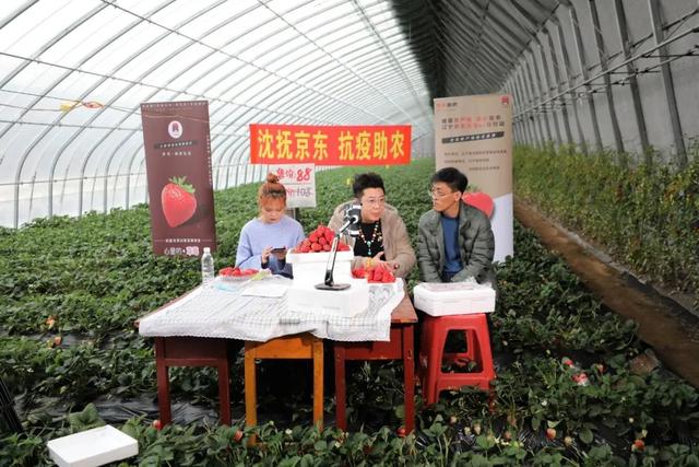 京東為什么比淘寶貴（領(lǐng)先阿里1244億，京東成中國第二民企，計劃培育1000萬農(nóng)村電商人）
