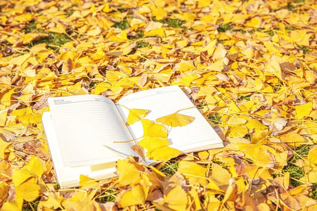怎么增長小紅書粉絲（小紅書怎么提升粉絲）