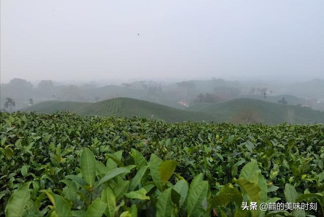 請客人吃飯開場白怎么講，請客戶吃飯開場白大全？