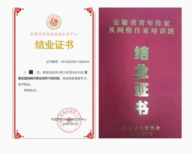 新手寫小說賺錢哪個平臺好（寫文章賺錢的平臺）