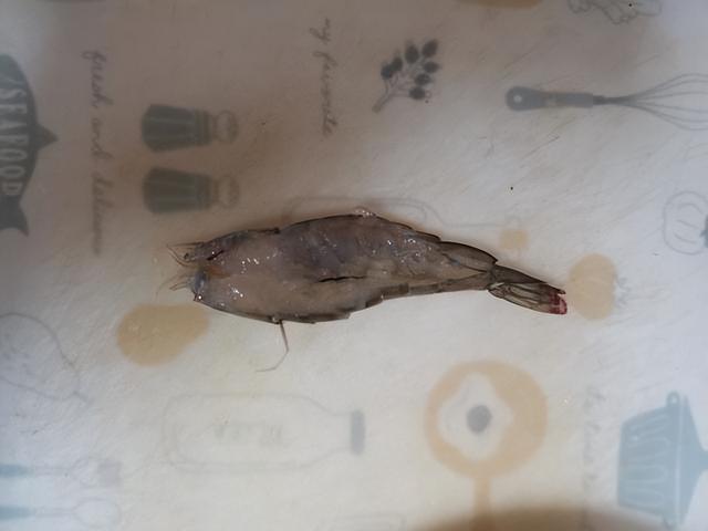 蝦仁粉絲蒜蓉做法大全圖解視頻，蝦仁粉絲蒜蓉做法大全圖解圖片？