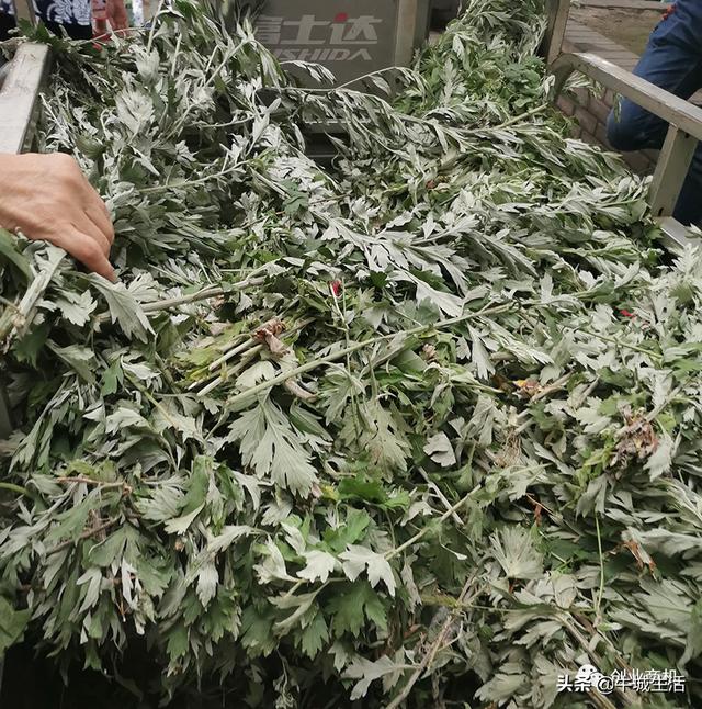 冷門生意有哪些十大冷門生意利潤高，冷門生意有哪些十大冷門生意利潤高網(wǎng)購？