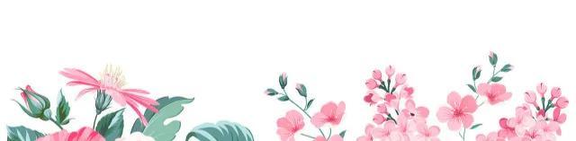 拆書稿平臺(tái)（拆書稿平臺(tái)有哪些）
