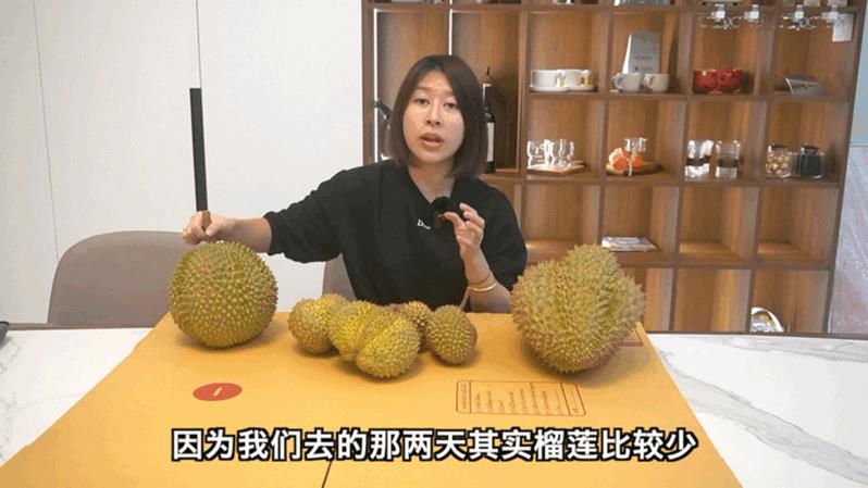 榴蓮沒(méi)熟打開(kāi)后怎么辦 榴蓮沒(méi)開(kāi)口怎么催熟（榴蓮沒(méi)熟打開(kāi)后怎么辦殼已經(jīng)丟掉了）