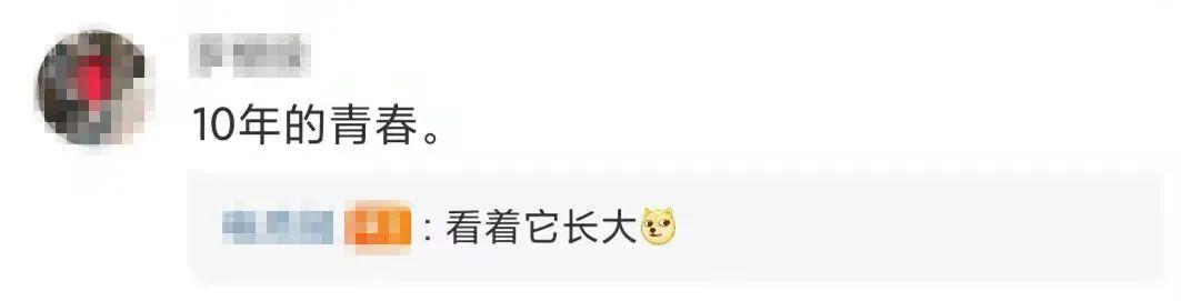 微信朋友圈怎么分享歌曲文件，微信朋友圈怎么分享歌曲？