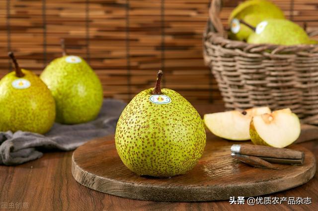 宣傳廣告創(chuàng)意文案怎么寫（廣告文案怎樣寫）