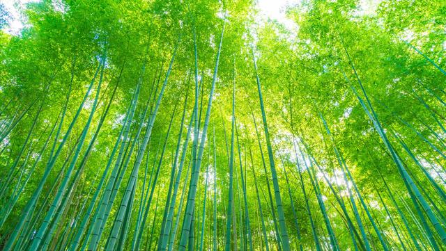 治療高血糖的土方法（血糖高土法根治）