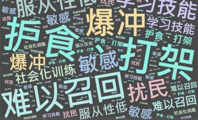 訓(xùn)犬師學(xué)校哪個(gè)比較好（訓(xùn)犬師培訓(xùn)學(xué)校排名）