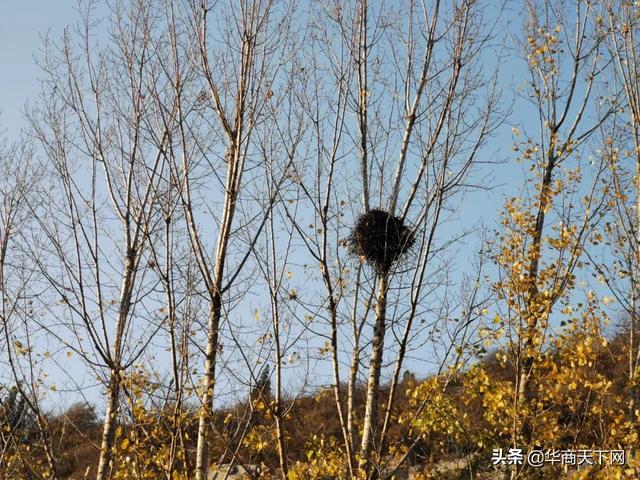 喪事發(fā)朋友圈什么心態(tài)（喪事在微信發(fā)朋友圈好嗎）
