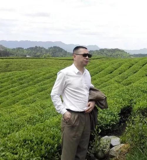 百度文庫會員多少錢一個月（百度文庫會員費多少）