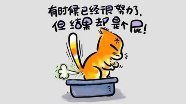 讓我們一起許個愿吧英語怎么說（許個愿吧英語怎么說讀）