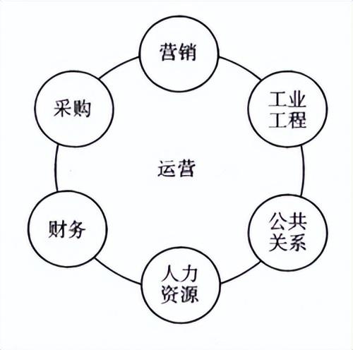 公司運(yùn)營是做什么的（電商運(yùn)營主要做什么工作）