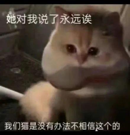 可以掙錢的軟件app下載（可以掙錢的軟件app游戲）