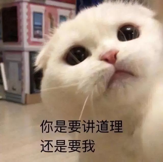 ps詳情頁制作教程視頻（ps詳情頁制作教程如何弄同款系列推薦）