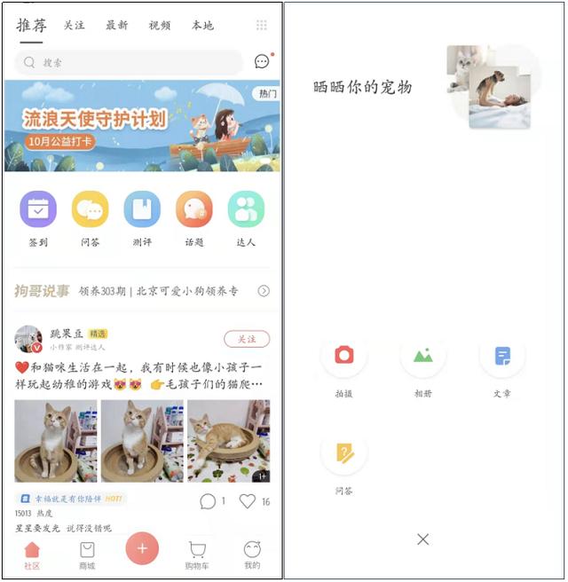 寵物店創(chuàng)業(yè)ppt模板免費(fèi)，寵物店創(chuàng)業(yè)計(jì)劃書市場營銷計(jì)劃？