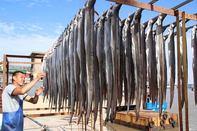 微山湖白鱔魚（白黃鱔多少錢一斤）