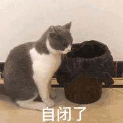 微信怎么關(guān)閉廣告推廣登錄失敗，微信怎么關(guān)閉廣告推廣登錄失敗呢？