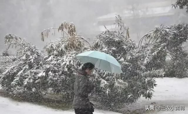 今天的天氣預(yù)報(bào)直播回放視頻，今天的天氣預(yù)報(bào)直播回放視頻下載？