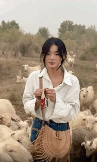 抖音美女千千萬下一句是什么啊視頻，抖音美女千千萬萬？
