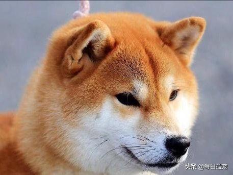 抖音上那個喝酒的視頻搞笑叫什么來著，抖音上那個喝酒的視頻搞笑叫什么名字？