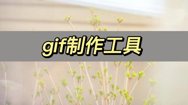 快手gif怎么保存到相冊(cè)是vivo手機(jī)，快手gif怎么保存到相冊(cè)是vivo手機(jī)上？