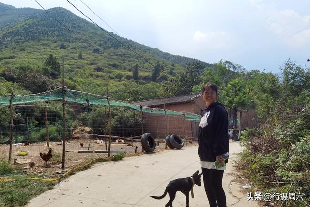 養(yǎng)植什么動(dòng)物最賺錢呢知乎，養(yǎng)植什么動(dòng)物最賺錢呢圖片？