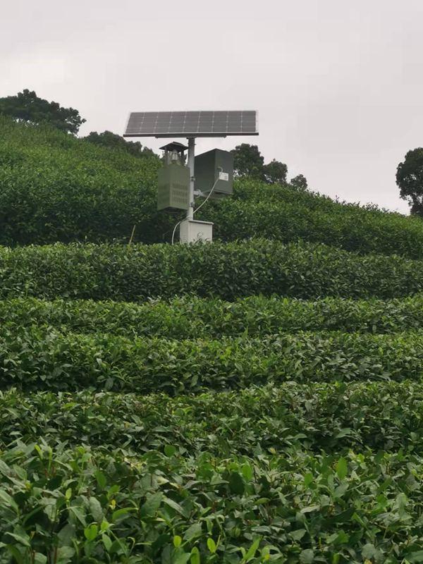 杭州微信喝茶群去哪里找，杭州喝茶vx群