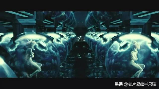 美國真有保護(hù)傘公司嗎（保護(hù)傘公司和美國政府）