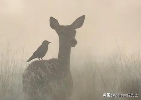 世界是虛擬的九大證據(jù)1005無標(biāo)題（世界是虛擬的九大證據(jù)之一）